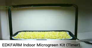 Unleash Your Inner Urban Farmer: The Ultimate Guide to Microgreen Growing Kits for Your Kitchen