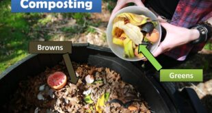 Revolutionize Your Kitchen: The Ultimate Guide to Integrated Composters and a Greener Lifestyle