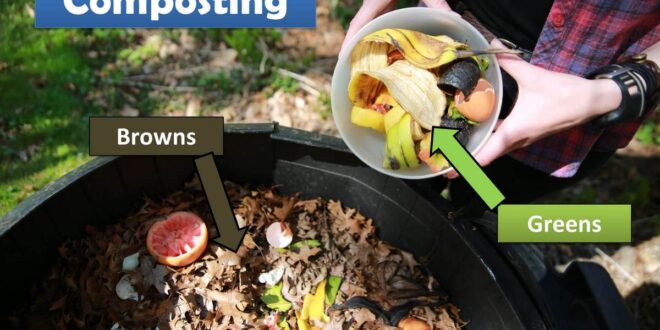 Revolutionize Your Kitchen: The Ultimate Guide to Integrated Composters and a Greener Lifestyle