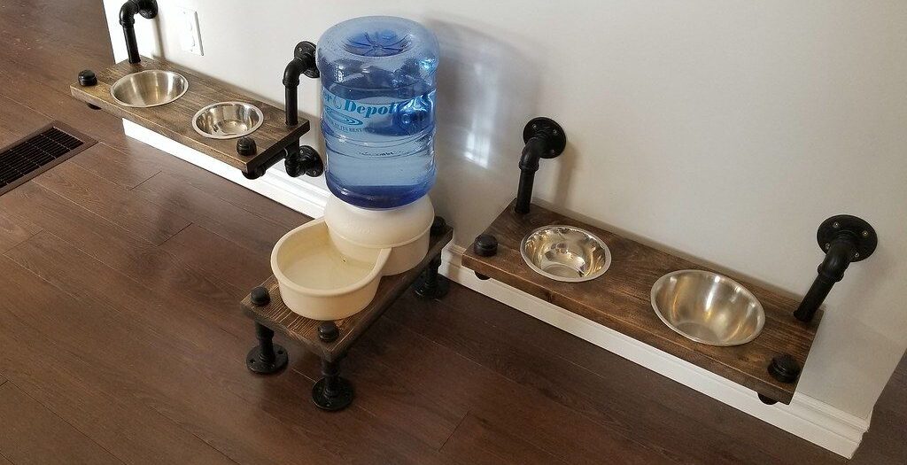 Elevated Eats: Designing a Stylish Pet Bowl Station for Your Living Room