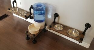 Elevated Eats: Designing a Stylish Pet Bowl Station for Your Living Room