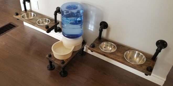 Elevated Eats: Designing a Stylish Pet Bowl Station for Your Living Room