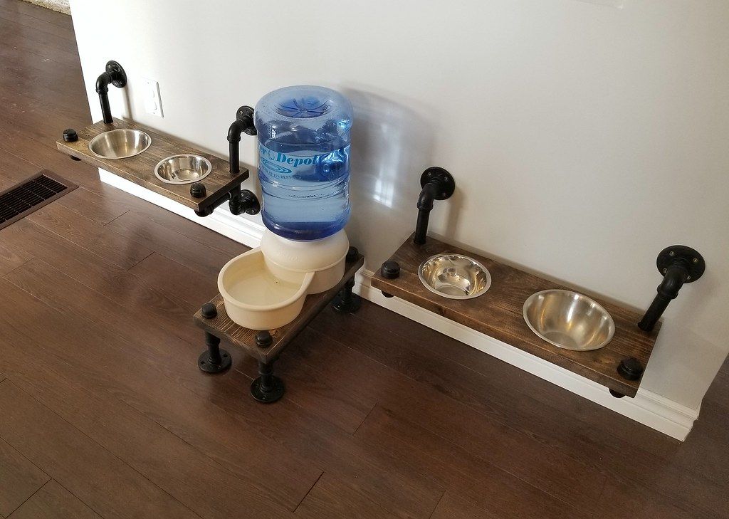 Elevated Eats: Designing a Stylish Pet Bowl Station for Your Living Room