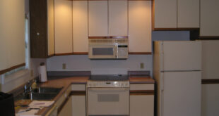 Particle Board Kitchen Cabinets: Affordable Elegance or Budget Nightmare?