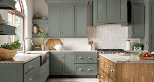 Green Kitchen Cabinets: A Modern Design Statement for Your Home