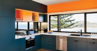 Seamless Living: A Comprehensive Guide to Built-In Kitchen Appliances