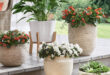 Transform Your Outdoor Space: Inspiring Outdoor Decor Ideas to Create Your Dream Oasis