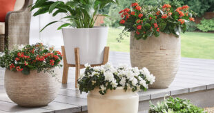 Transform Your Outdoor Space: Inspiring Outdoor Decor Ideas to Create Your Dream Oasis