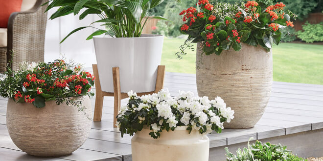 Transform Your Outdoor Space: Inspiring Outdoor Decor Ideas to Create Your Dream Oasis