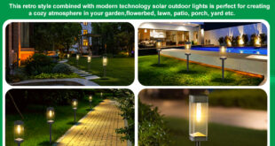Illuminate Your Oasis: How Solar Lights Can Transform Your Living Room and Garden Illuminate Your Oasis: How Solar Lights Can Transform Your Living Room and Garden