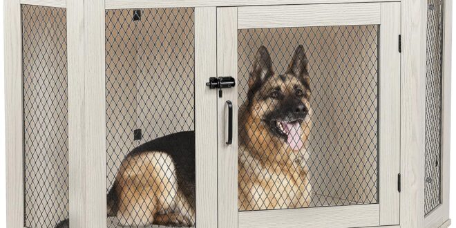 Dog Crate Furniture: Blending Comfort, Style, and Functionality in Your Living Room