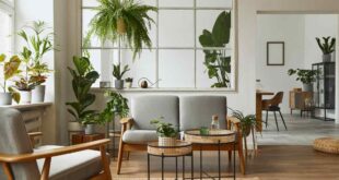 Living Room Greenery: Elevating Your Space with Plants Decor